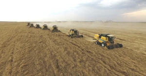 Çiftçilerin Beklediği Destek Ödemeleri Hesaplarda! Sorgulama Yöntemleri